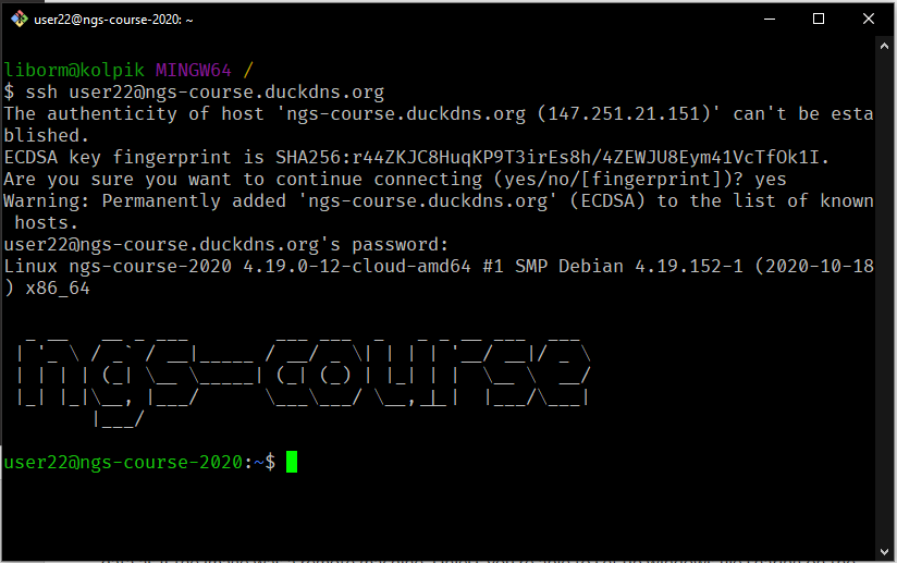 _images/win-terminal.png
