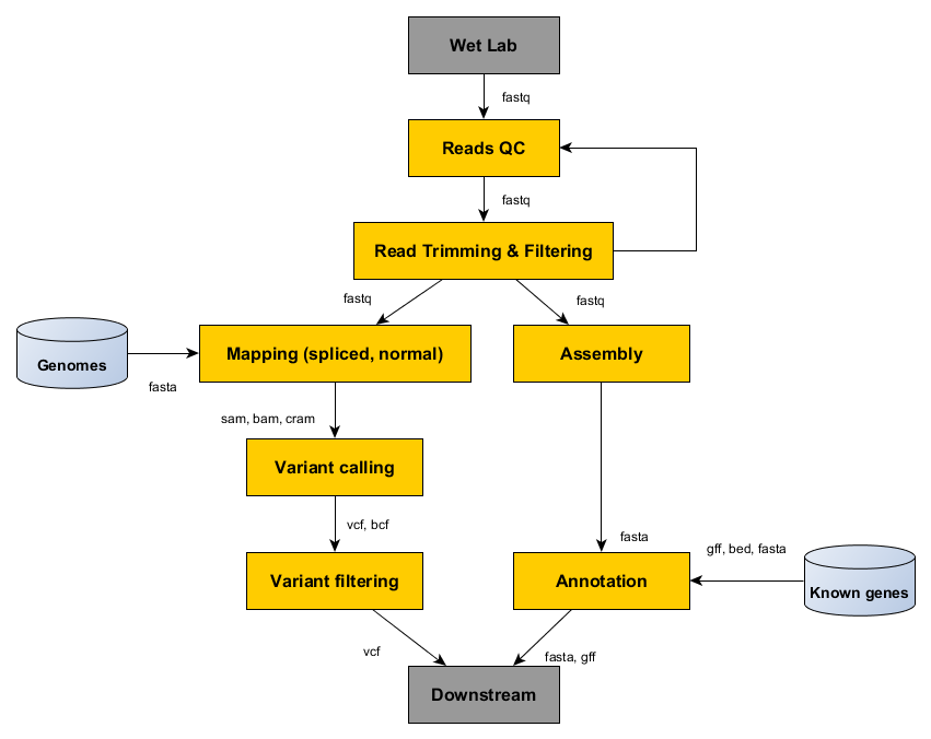 _images/ngs-flows.png